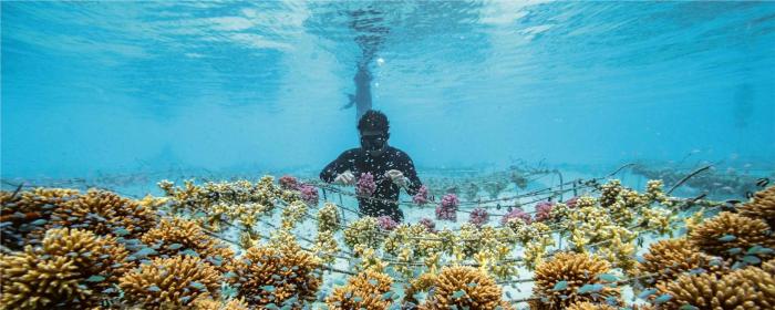 勞力士海洋時刻 ：呵護生命，禮贊海洋