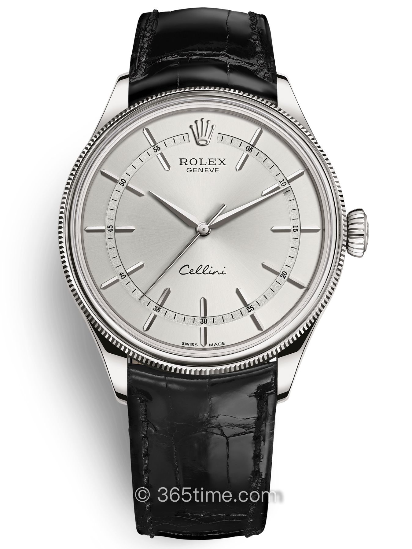 Rolex勞力士切利尼時間型3950509-0008