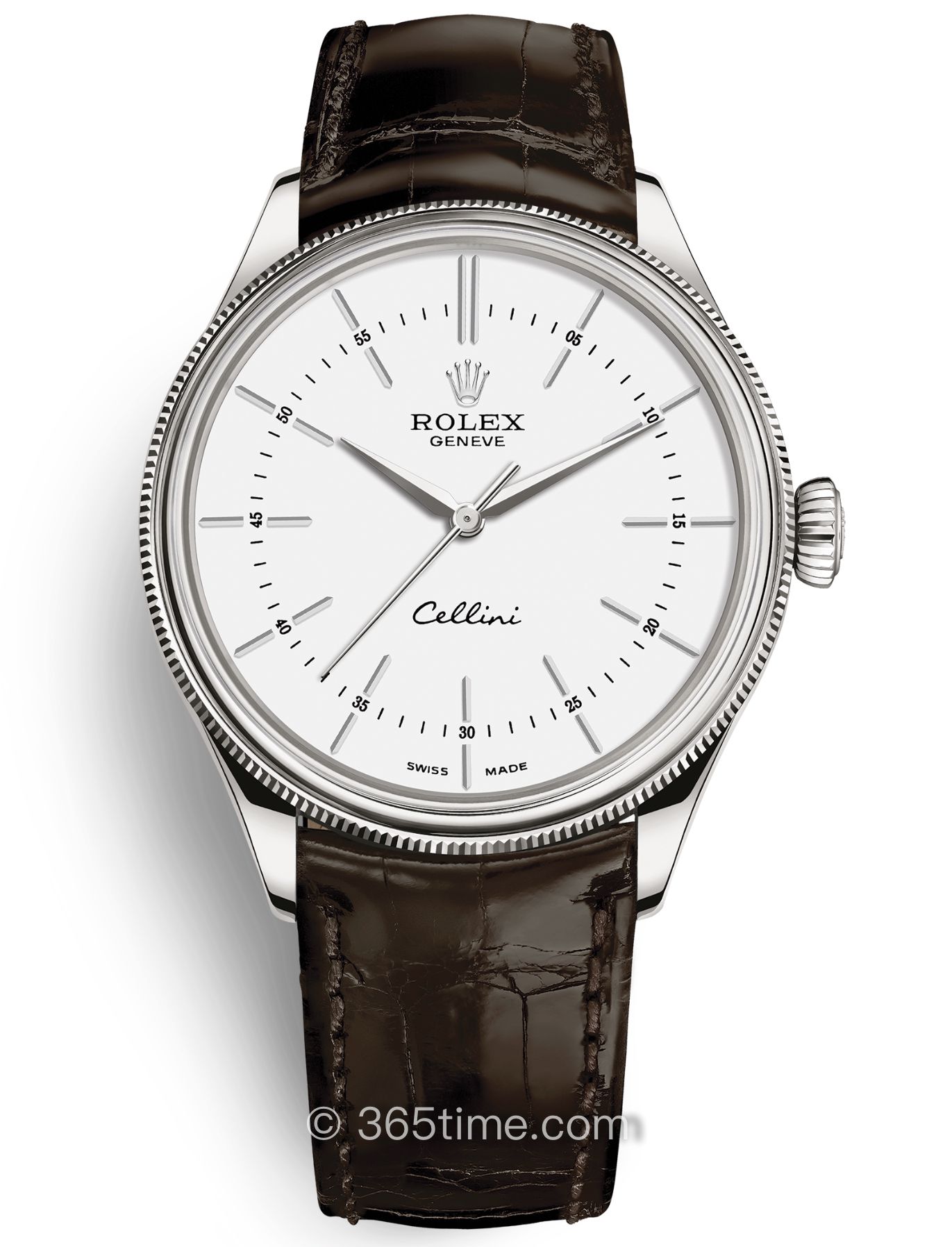Rolex勞力士切利尼時間型3950509-0017