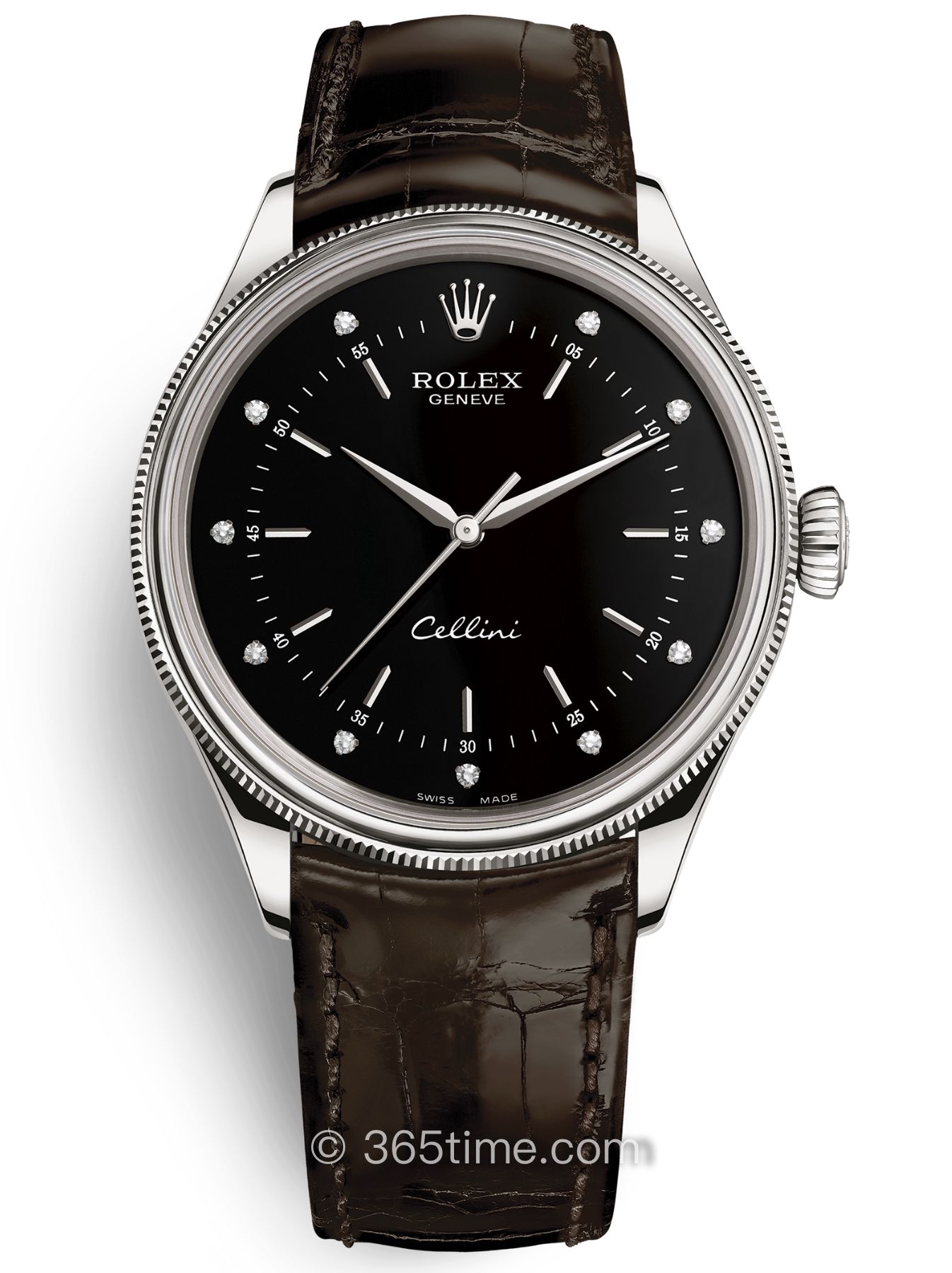 Rolex勞力士切利尼時間型3950509-0024