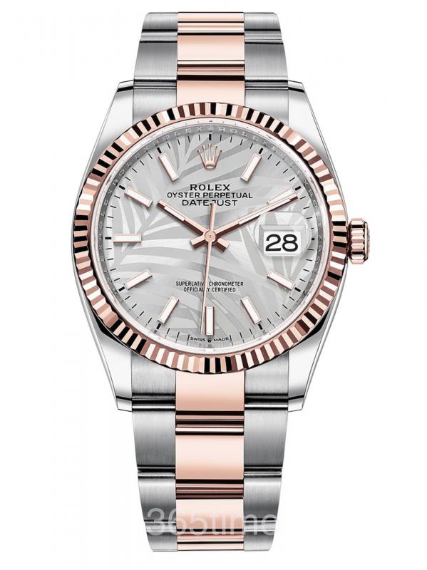 Rolex勞力士蠔式恒動日志型 36永恒玫瑰金及蠔式鋼款M126231-0032